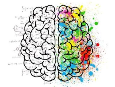左右腦分工理論說明了左腦掌管語言、右腦掌管圖像